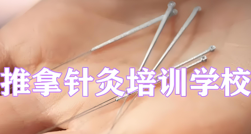 中医培训