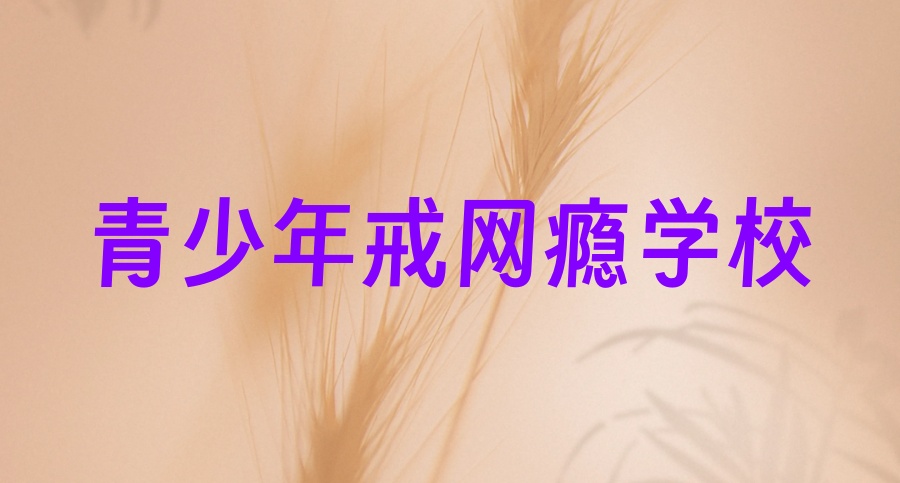 雅安封闭式戒网瘾叛逆孩子军事化管教学校