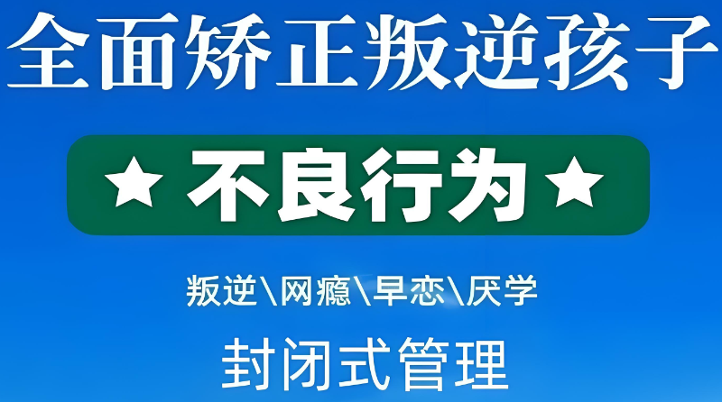 叛逆青少年 叛逆青少年