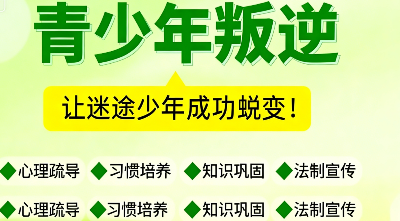 叛逆学校 叛逆学校