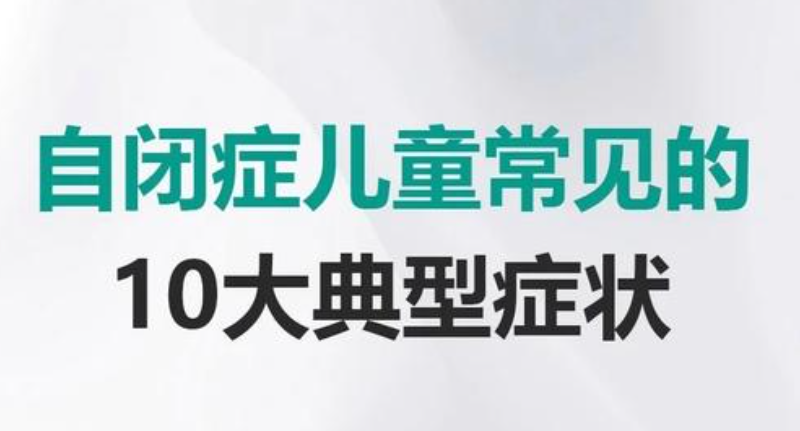 自闭症机构