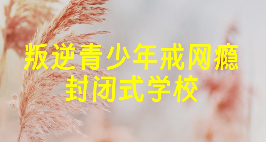 成都口碑一览排名好的叛逆问题青少年管教特训学校十大名单列表