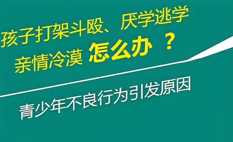 360截图20251217084024_副本.jpg