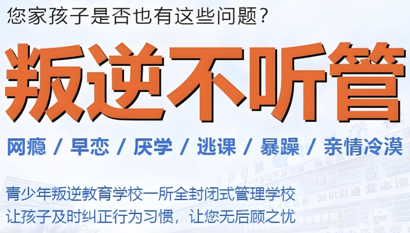 叛逆特训学校 叛逆特训学校
