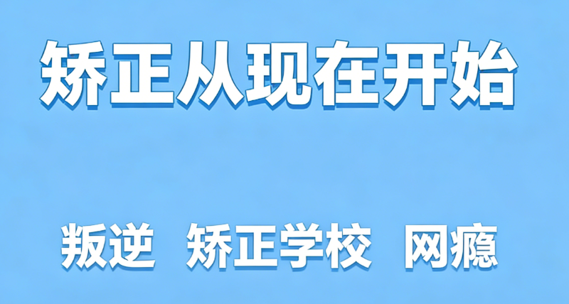 叛逆青少年 叛逆青少年
