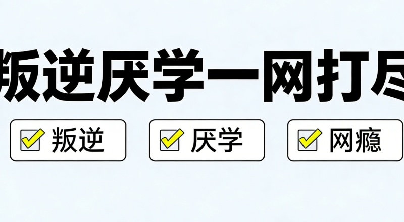 叛逆学校 叛逆学校