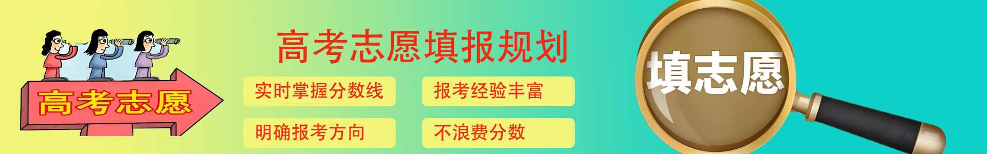 志愿填报机构