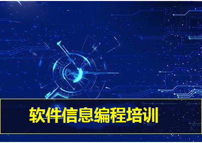 软件信息编程