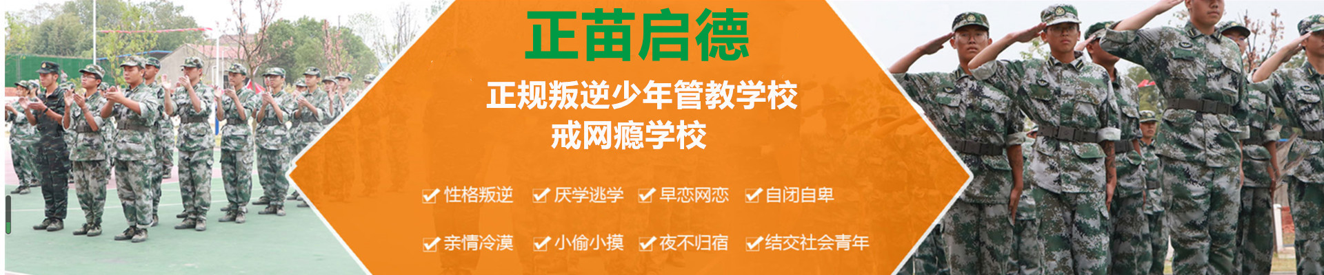 正苗启德