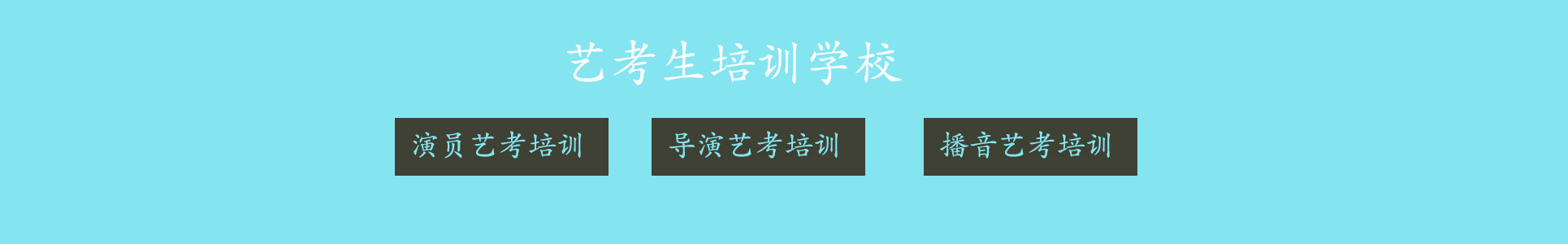 艺考生培训