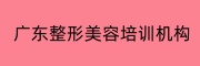 广东整形美容培训机构
