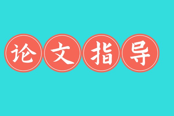 毕业生论文辅导
