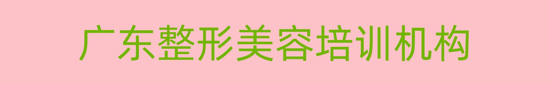 广东整形美容培训机构