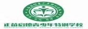 正苗启德
