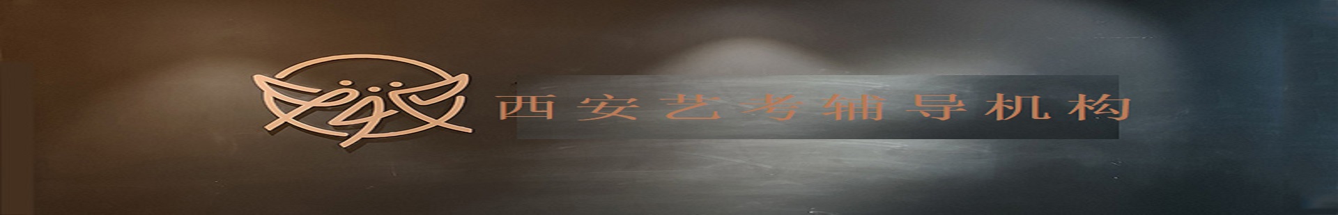 西安艺考辅导机构