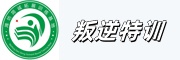 叛逆孩子指导