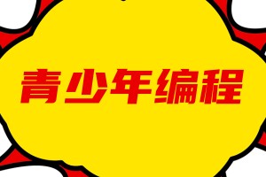 青少年编程学习中心