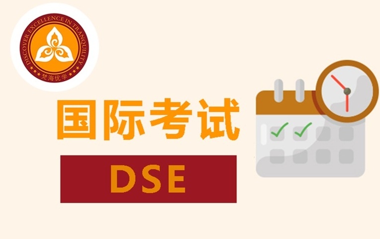 DSE国际课程培训