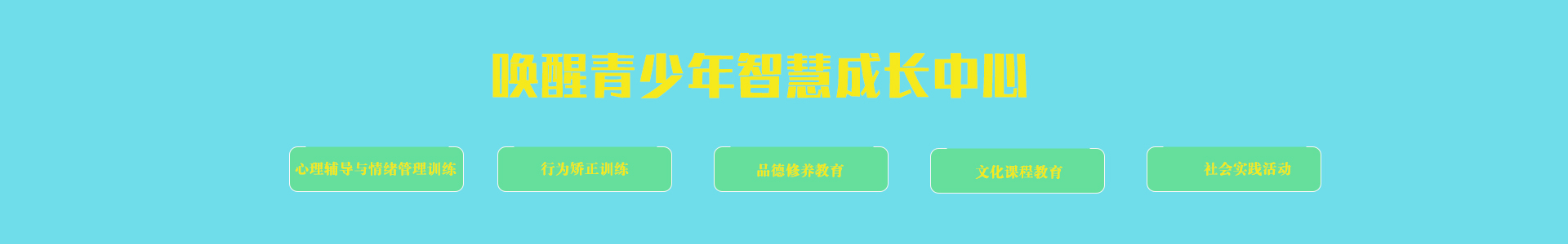 唤醒青少年智慧成长中心
