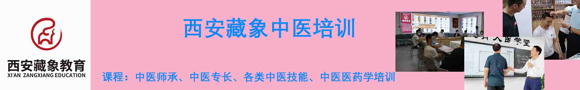 西安藏象
