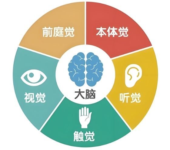 感统失调干预机构