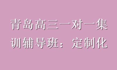 青岛高三一对一集训辅导班：定制化冲刺方案，助力高考逆袭